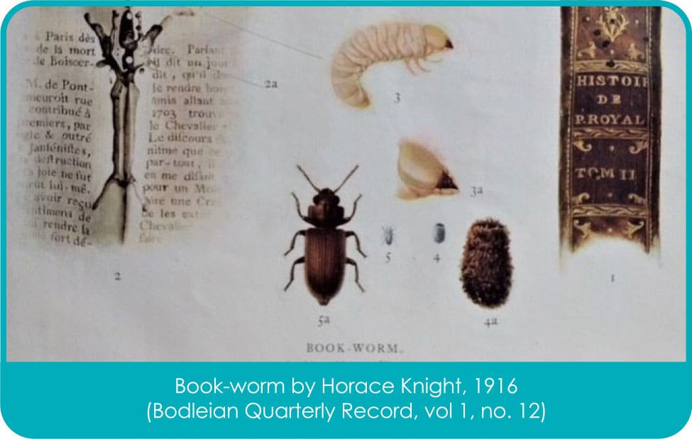 Book work - caring for books