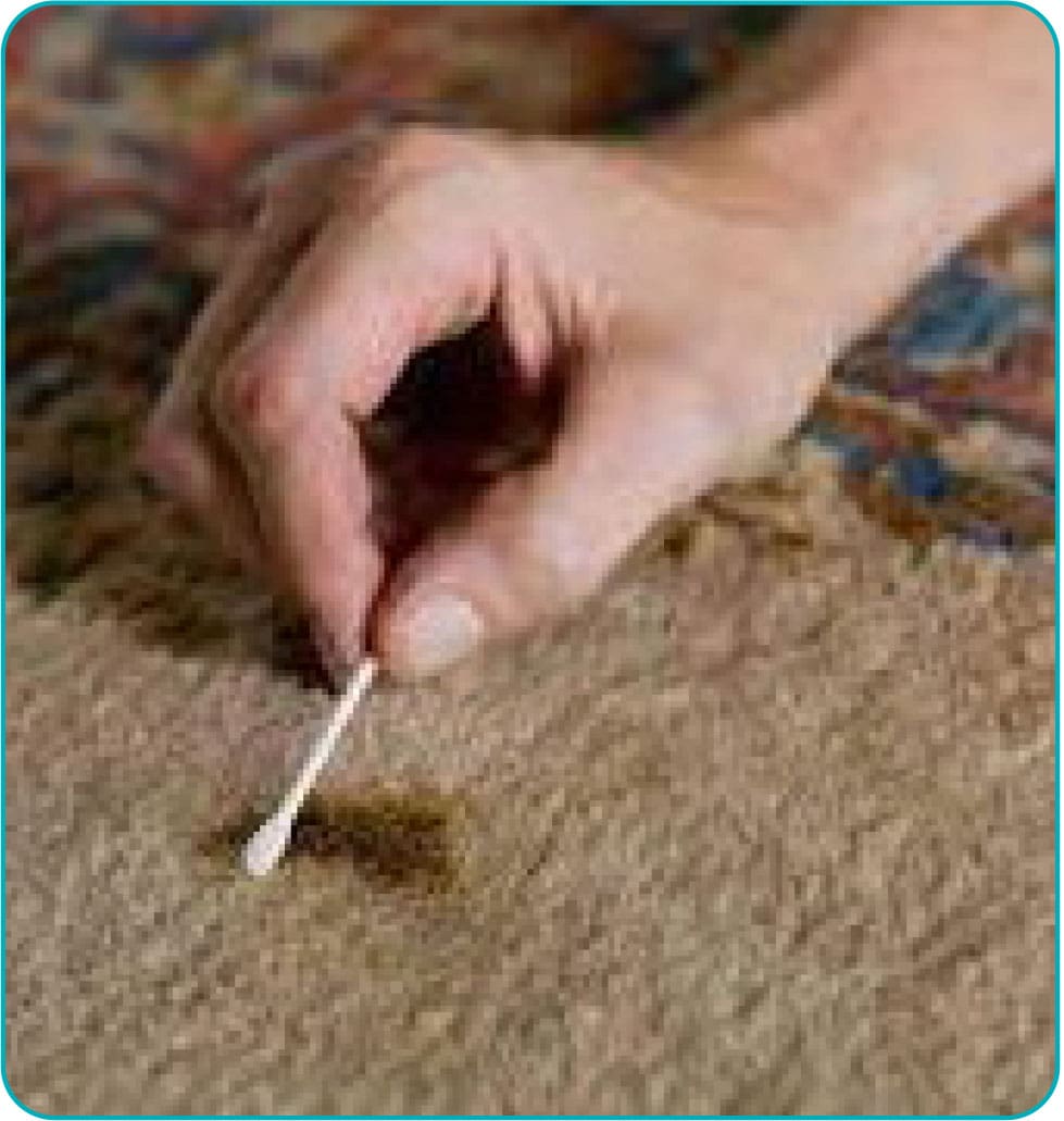 Furniture and rug care