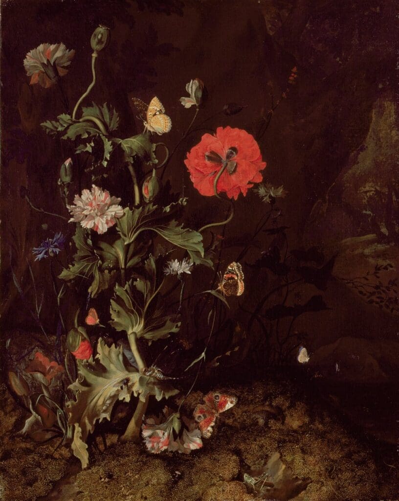 Rachel Ruysch - Forest Floor Still Life with Flowers and Butterflies
