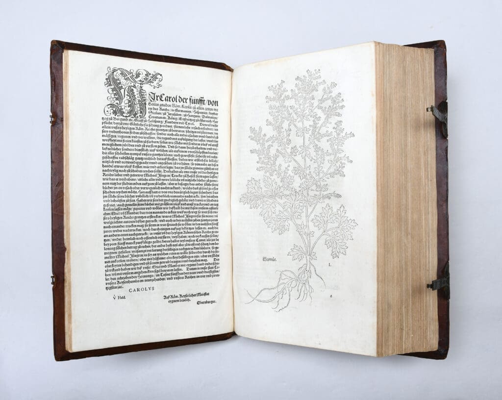 Peter Harrington offers a 1543 German edition of New Kreüterbuch by Leonhart Fuchs, a historic herbal book, for £50,000.