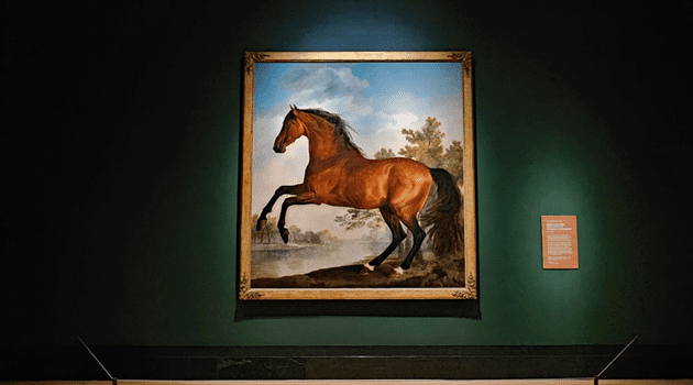 Stubbs: Portrait of a Horse The National Gallery